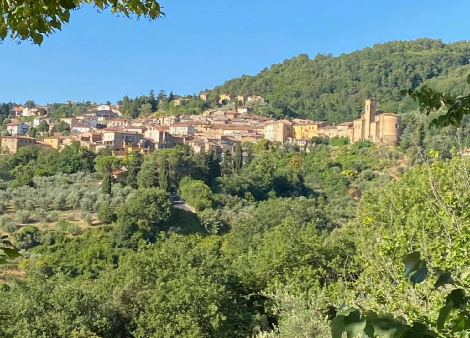Casa Rosie Apartment Chianni Italy